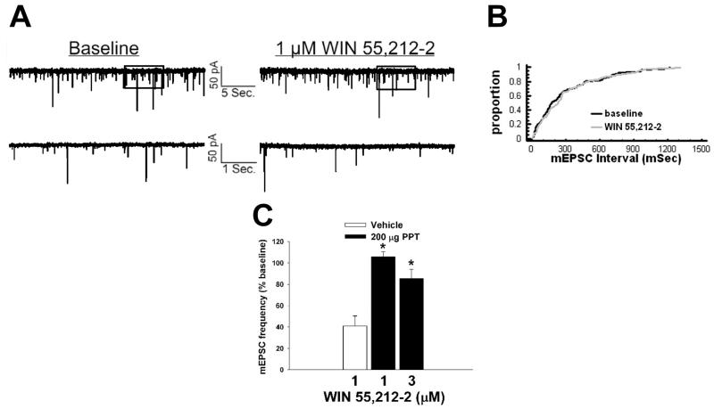 Fig. 11