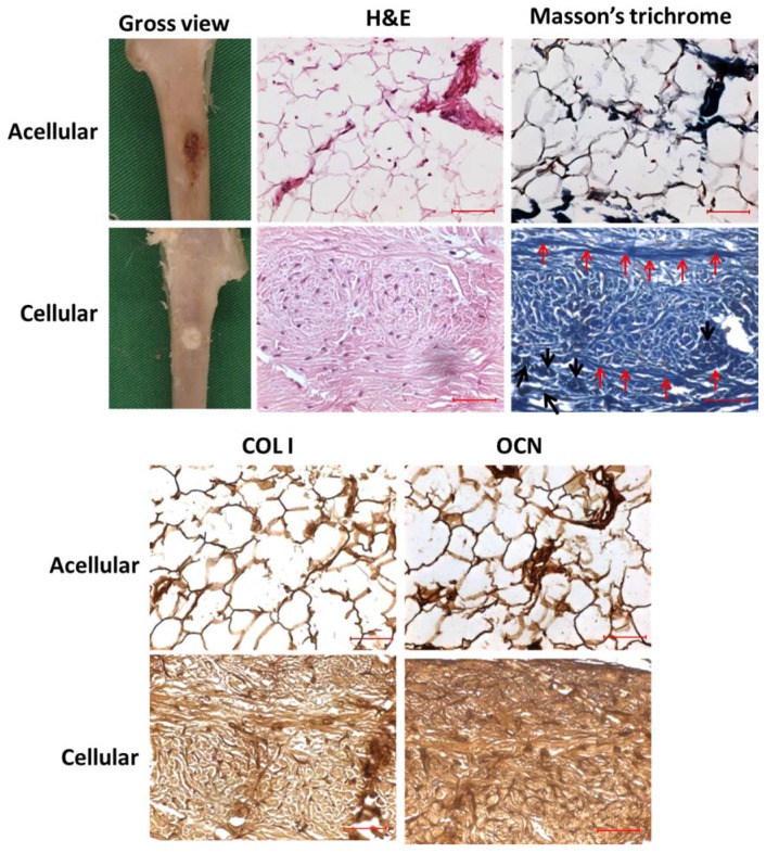 Figure 14