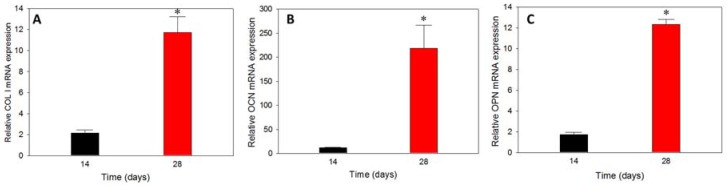 Figure 11