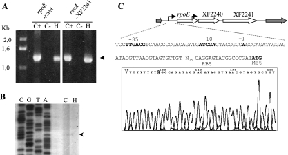 FIG. 6.