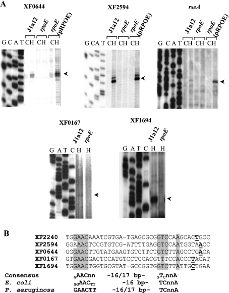 FIG. 4.