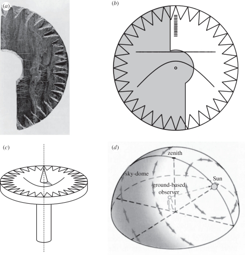 Figure 2.