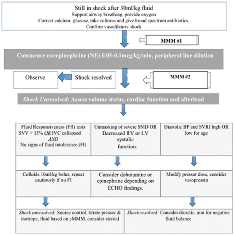 Figure 1a