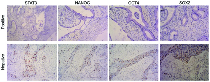 Figure 6.