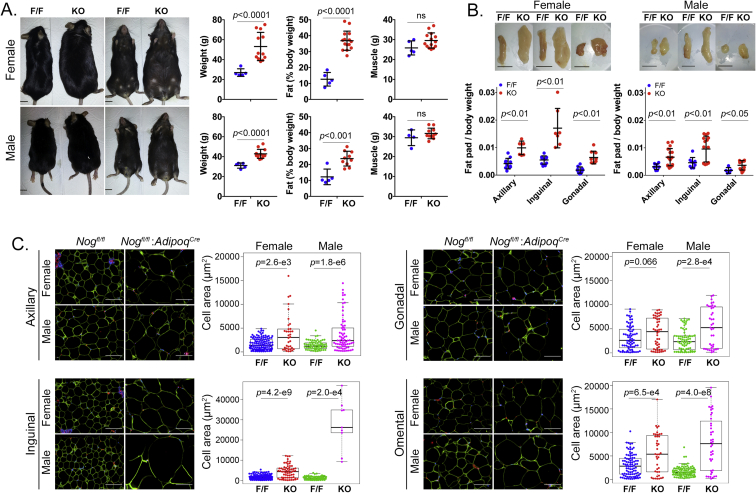 Figure 2