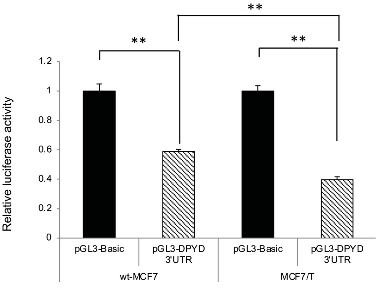 Fig 7