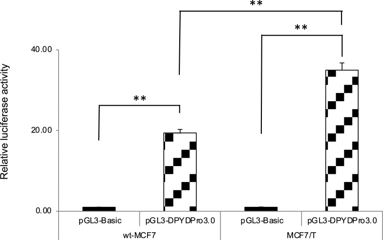 Fig 5