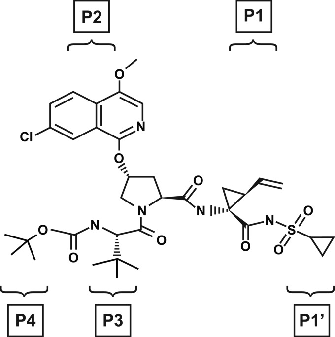 Fig 1