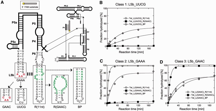 Figure 5.