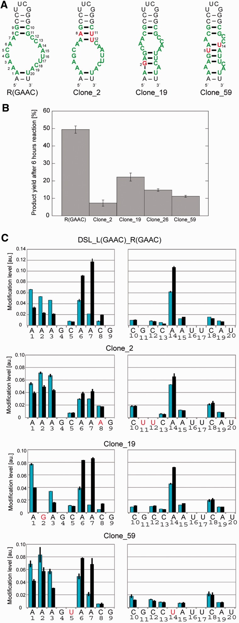 Figure 7.