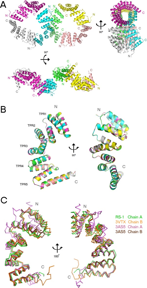 Fig 4