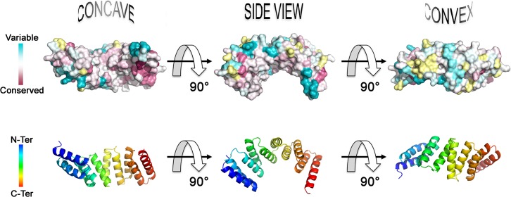 Fig 2