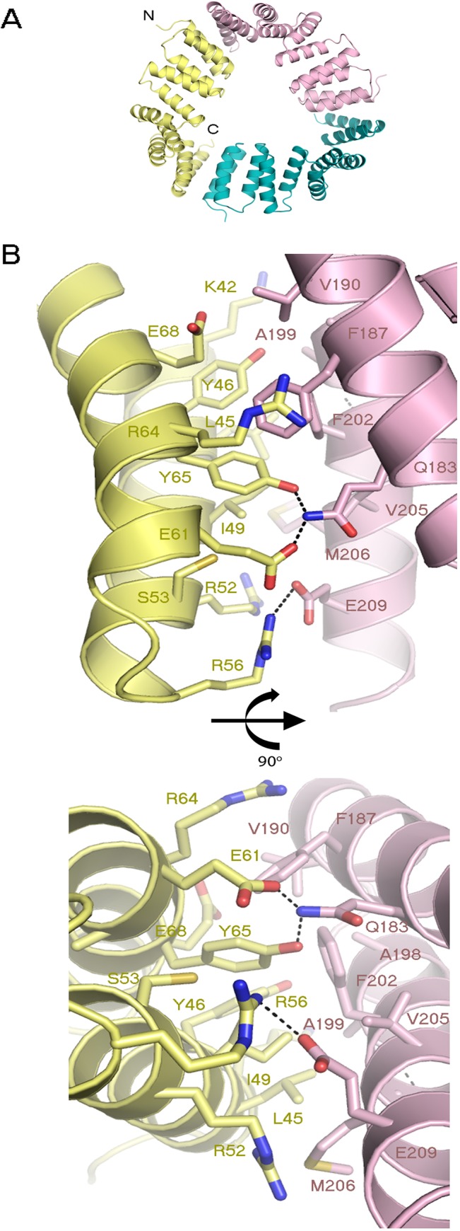 Fig 3