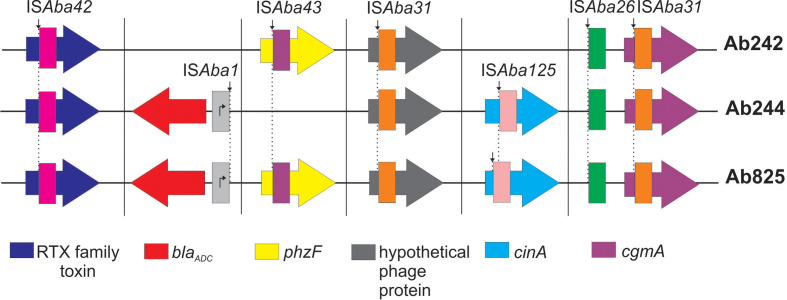 Fig. 4.