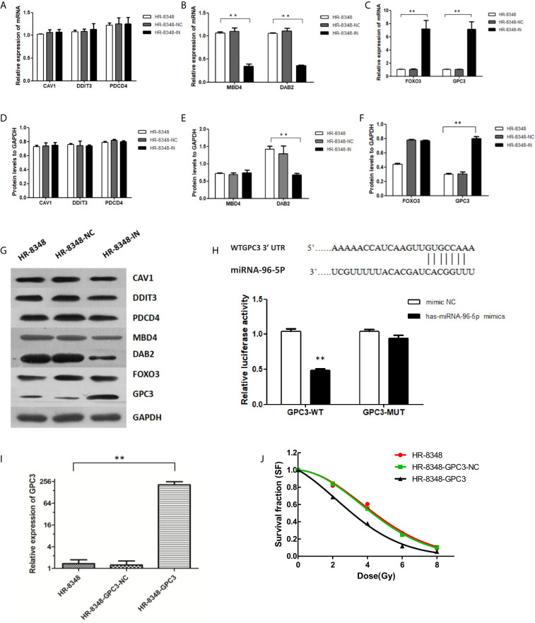 Figure 7