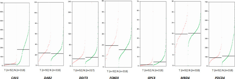 Figure 6