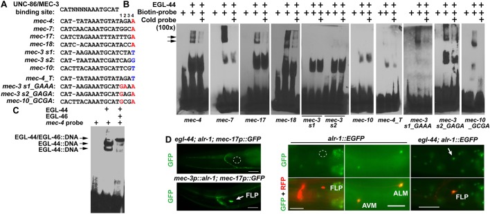 Fig. 6.