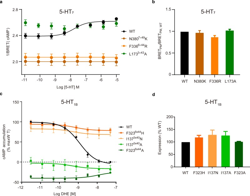 Figure 6—figure supplement 2.