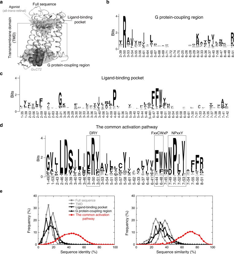 Figure 7—figure supplement 2.