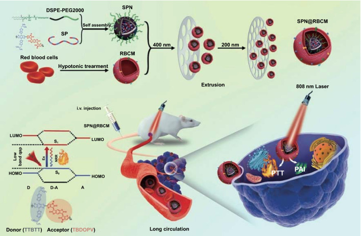 Scheme 1