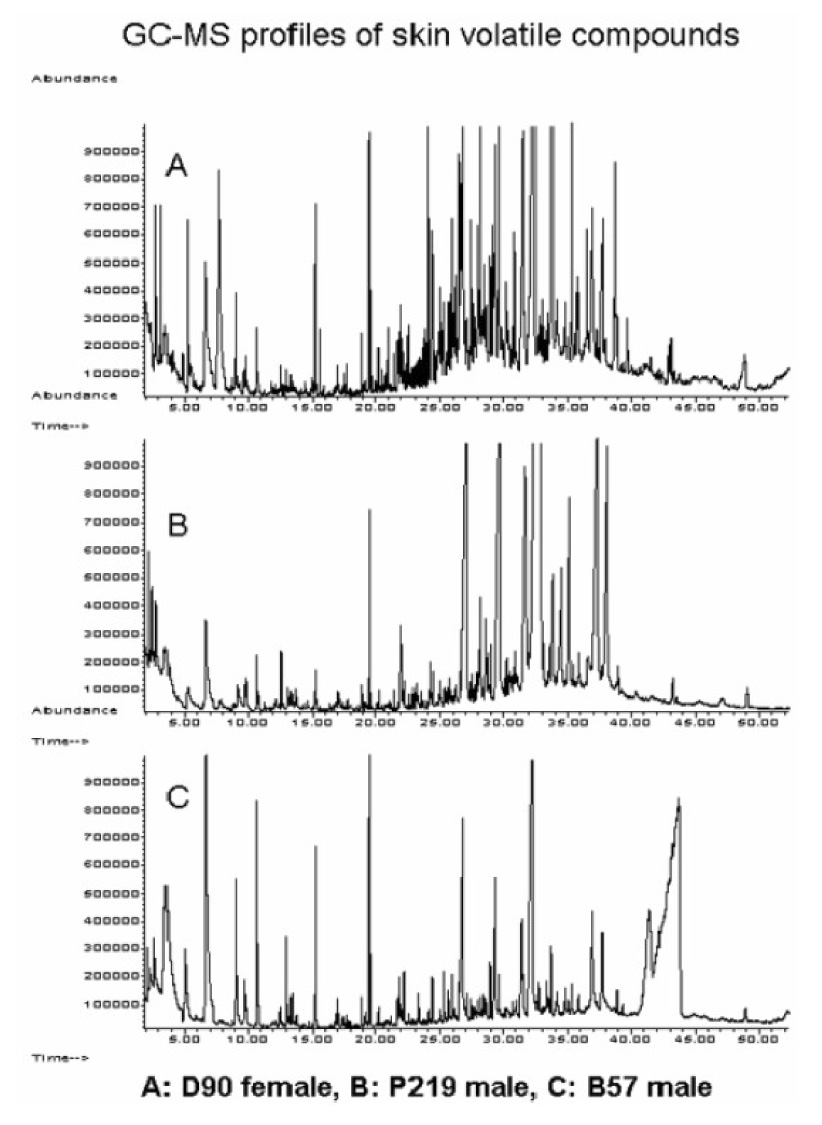 Figure 17