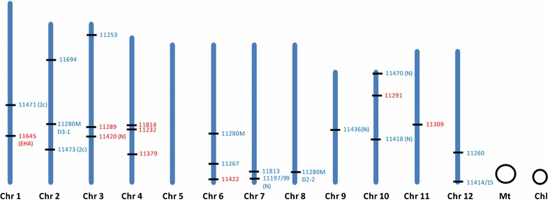 Fig. 3