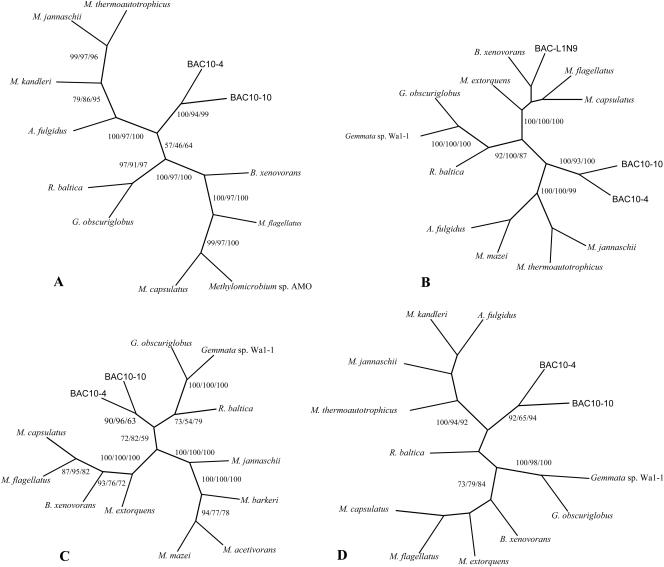 FIG. 6.