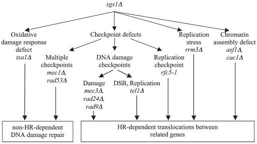 FIG. 5.