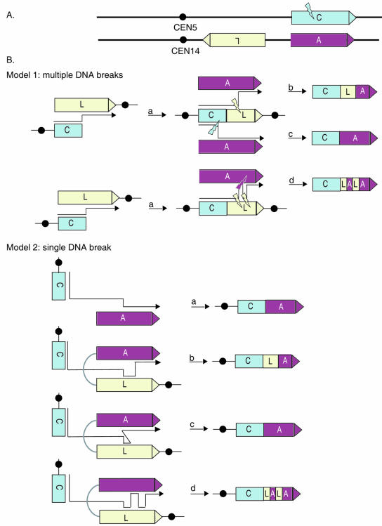 FIG. 4.