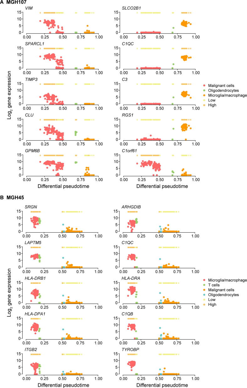 Supplementary Figure S8