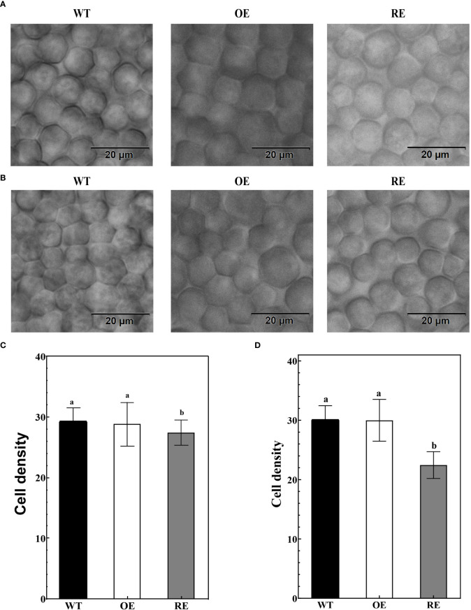 Figure 3