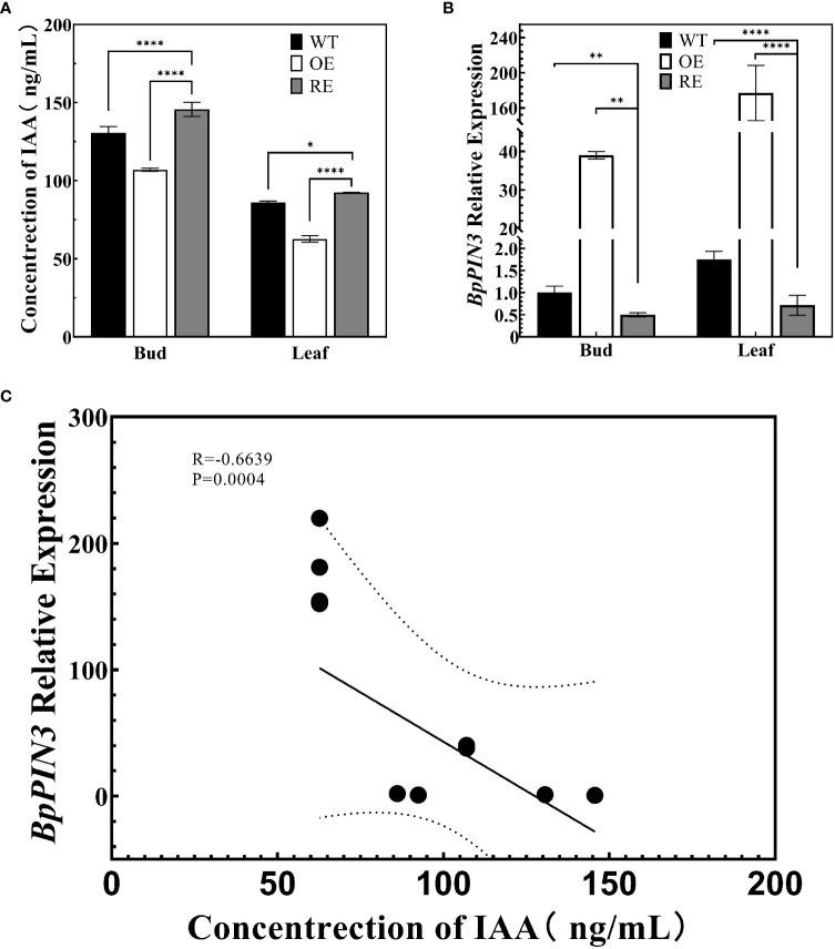 Figure 6