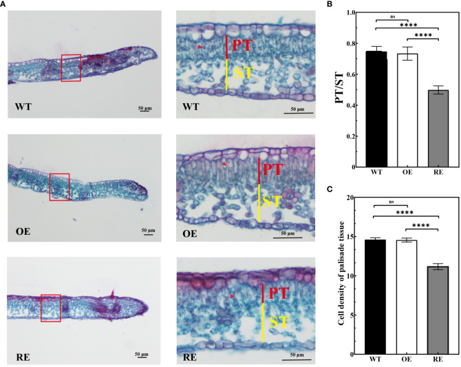 Figure 4