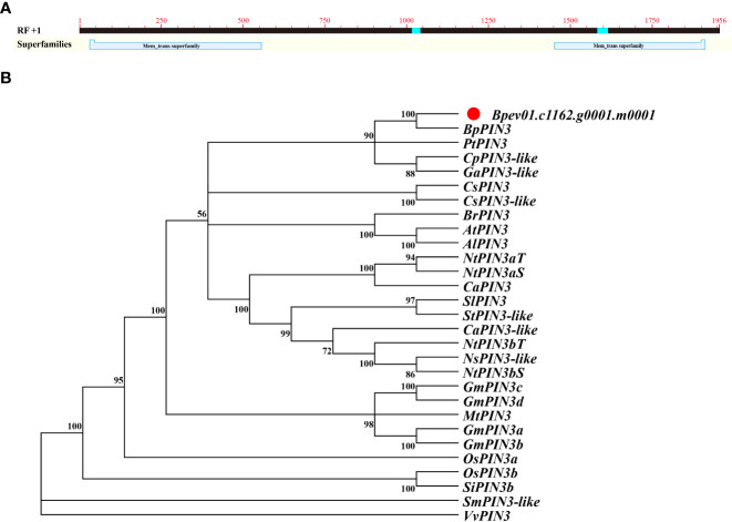 Figure 1