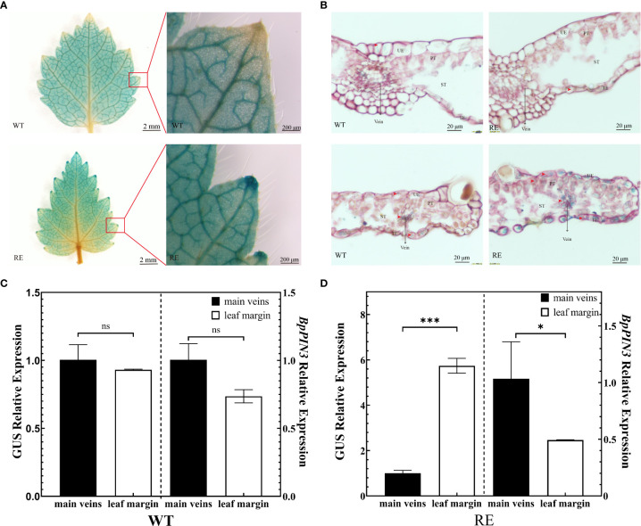 Figure 7