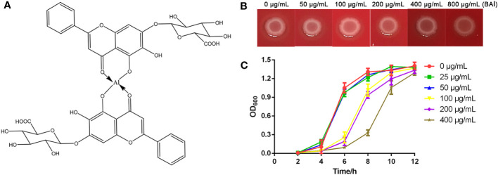 Figure 1