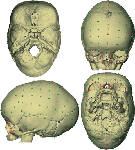 Fig. 3