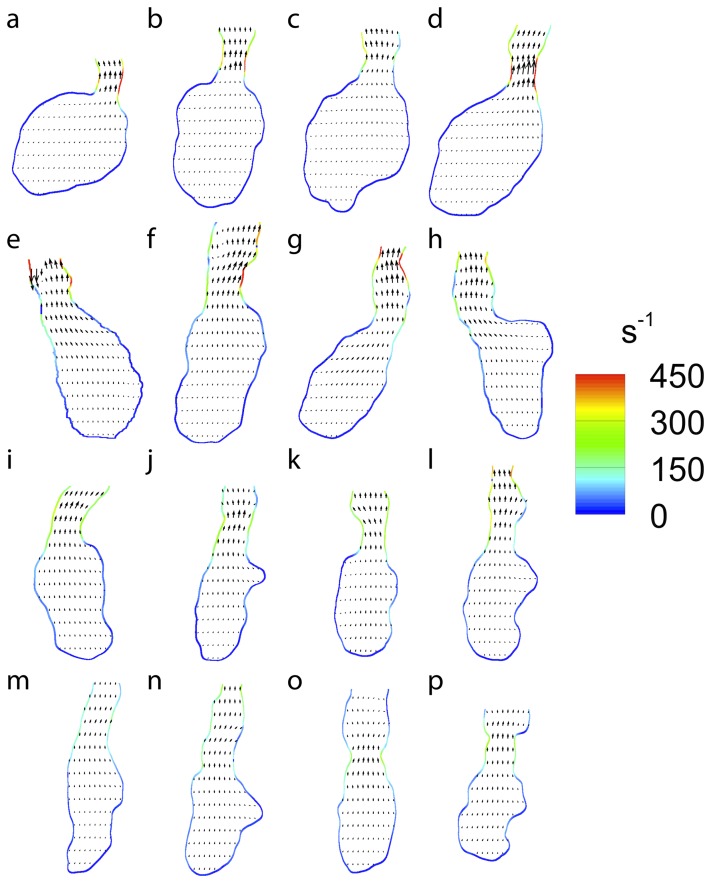 Figure 6