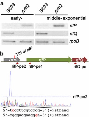 Fig. 2