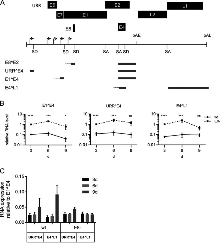 FIG 3