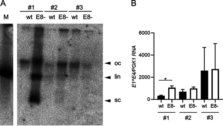 FIG 4