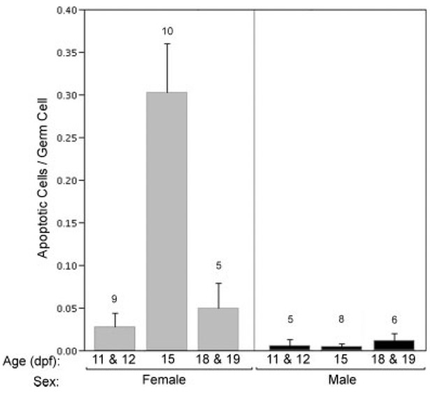 Fig. 10.