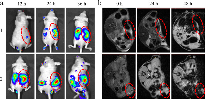 Fig. 6