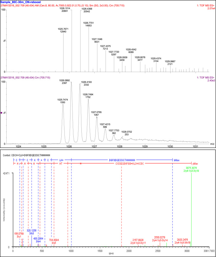 Fig. 8