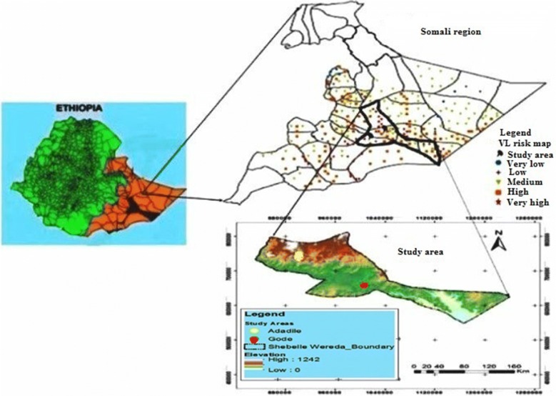 Fig. 1