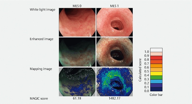 Fig. 3