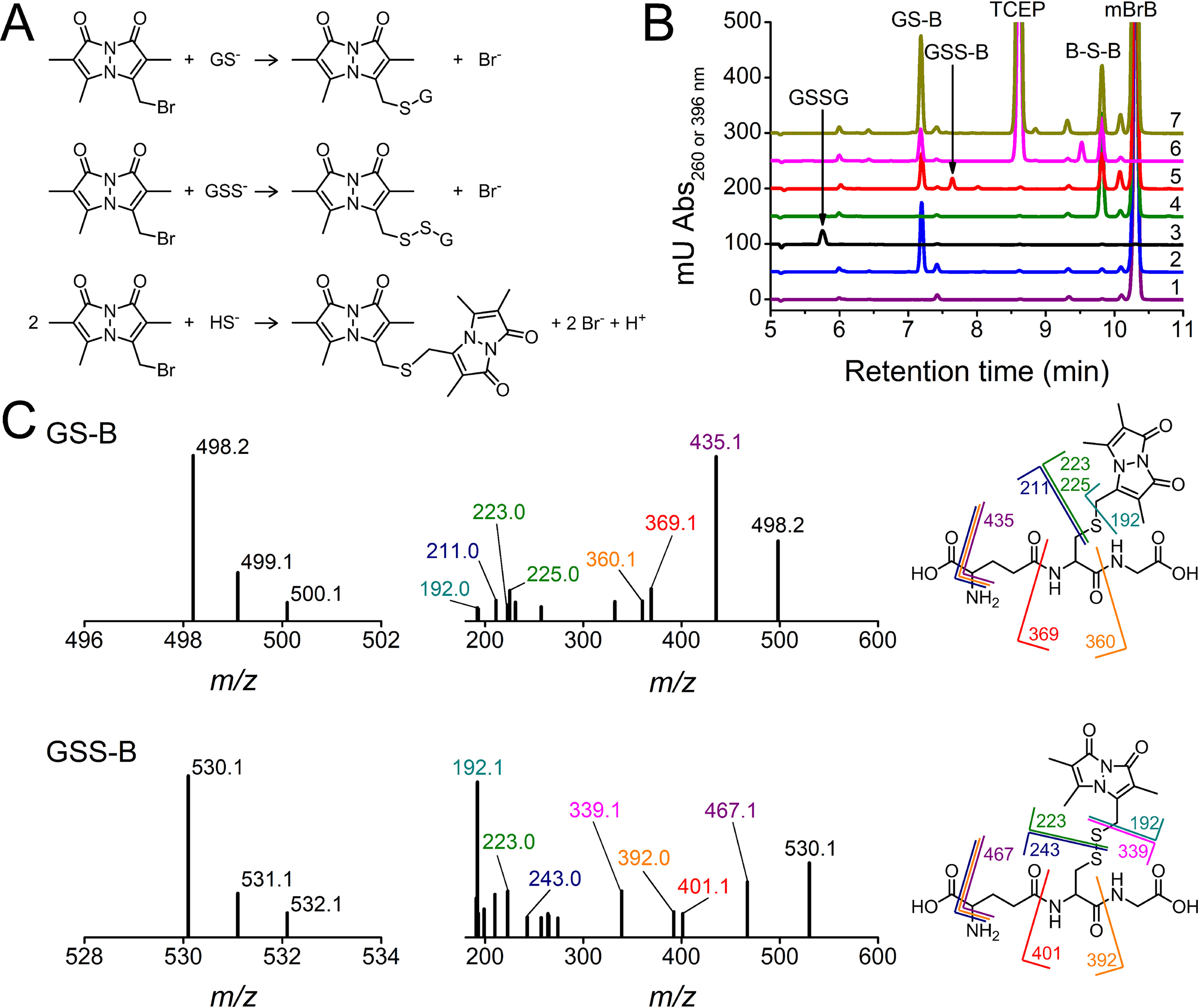 Figure 1.