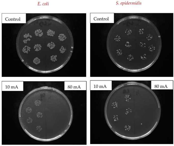 Figure 10