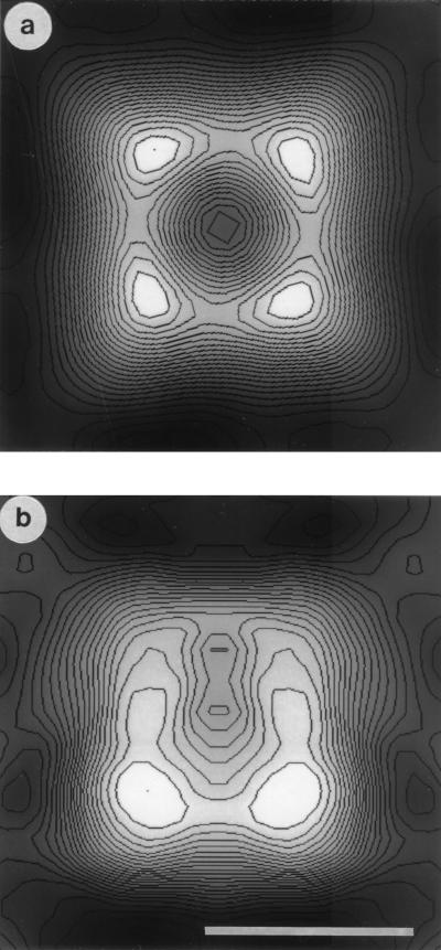 FIG. 3