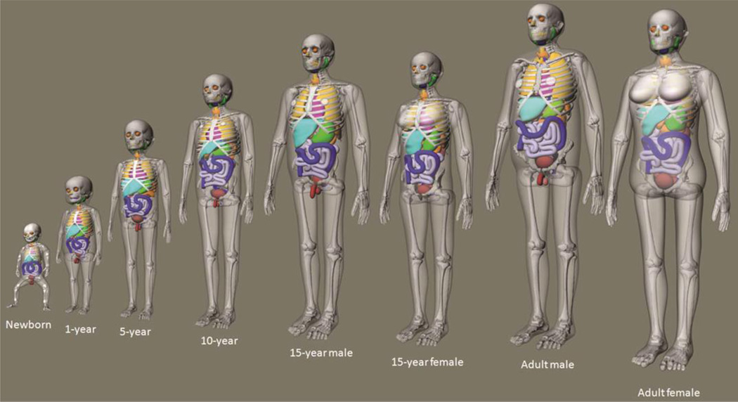 Figure 21